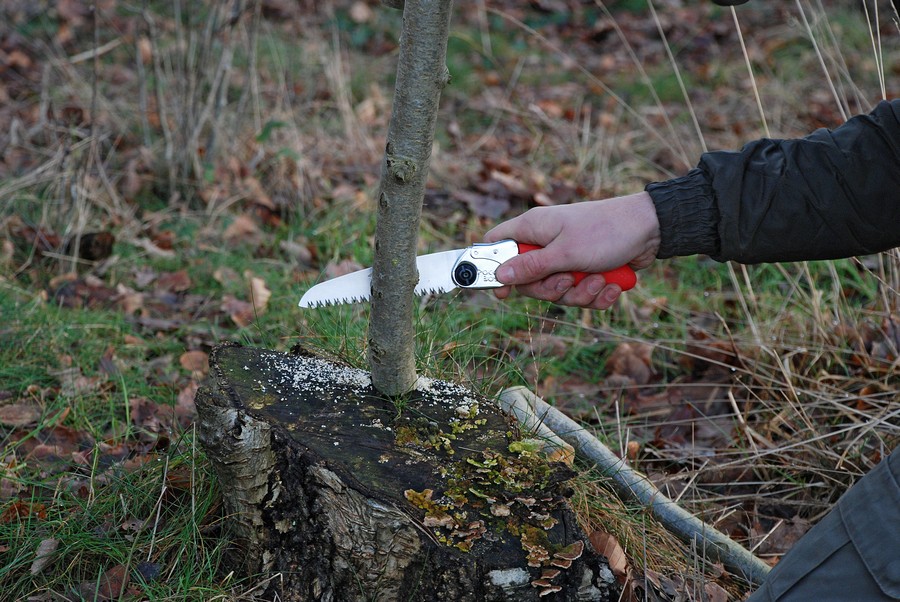 Ručna preklopna pila Silky Pocketboy 130-8, 1.1mm - Slika 4