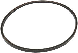 remen pogona R 53 SVW/J50